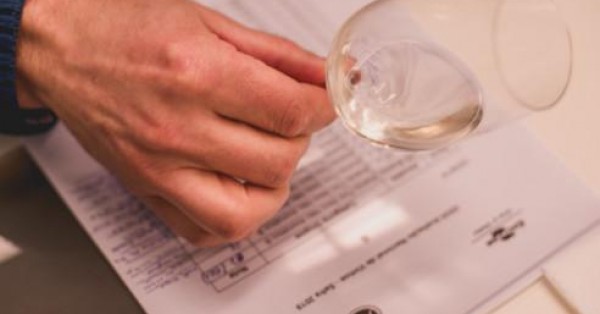 Avaliação Nacional de Vinhos - ‘Safra das Safras’ leva ao recorde de amostras Avaliação Nacional de Vinhos - ‘Safra das Safras’ leva ao recorde de amostras